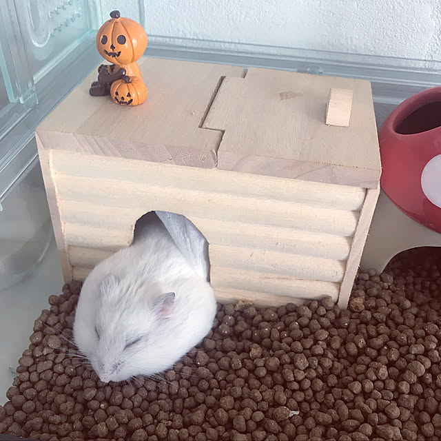 kicoさんの実例写真