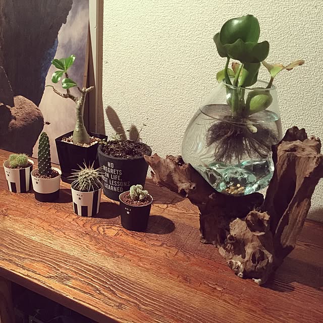 funaさんの実例写真
