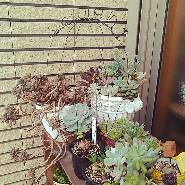 akr29さんの実例写真
