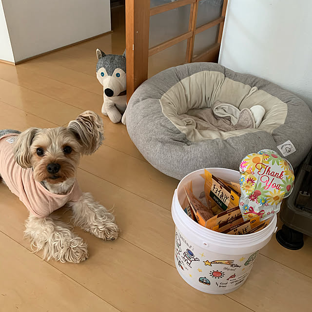 rayさんの実例写真