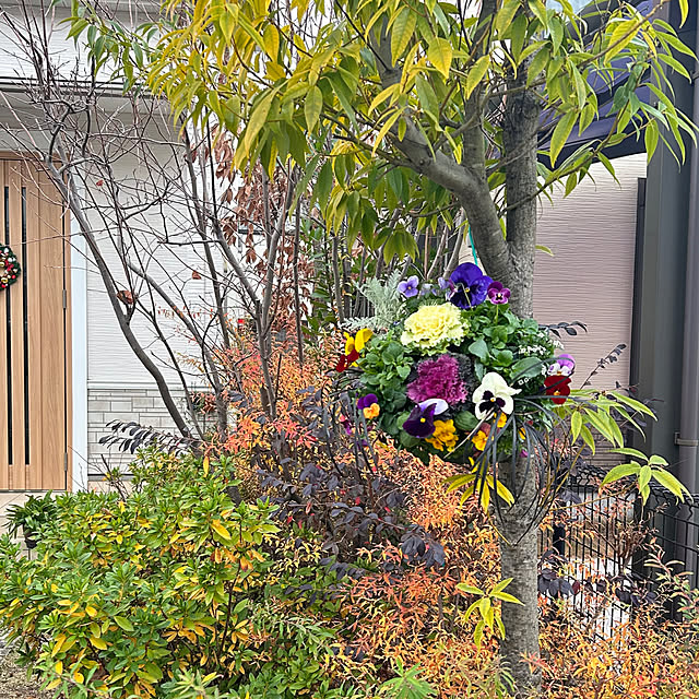 ayaさんの実例写真