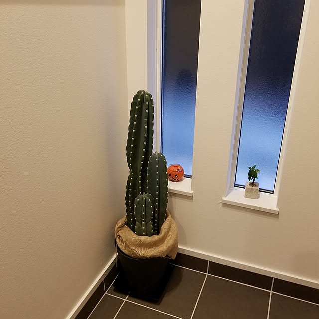 MARoomさんの実例写真