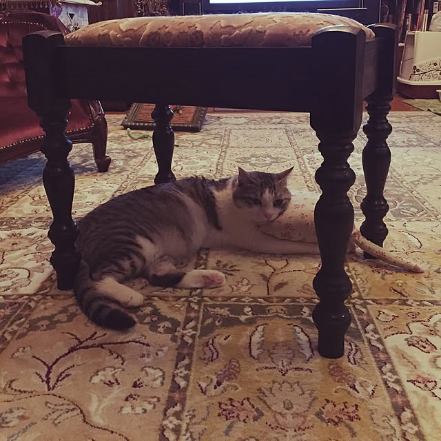 emmyyさんの実例写真