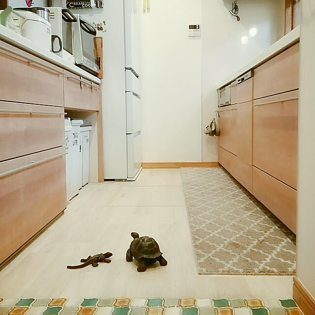 naive.coccoさんの実例写真