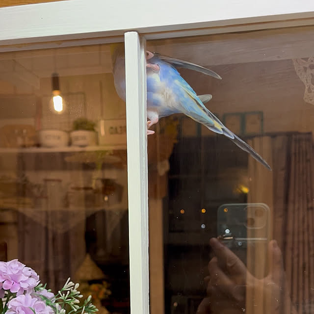 Atsukoさんの部屋