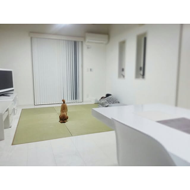 naoさんの実例写真