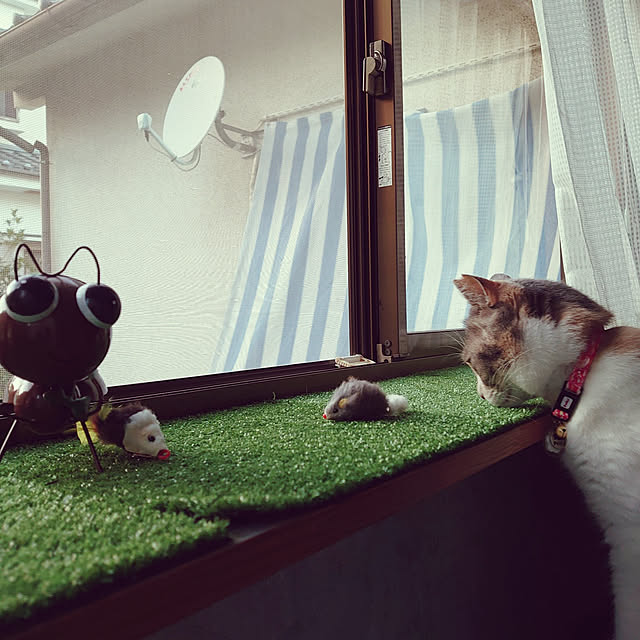 fukuさんの実例写真