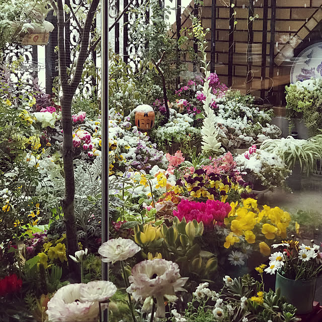 fuyiqian1026さんの実例写真