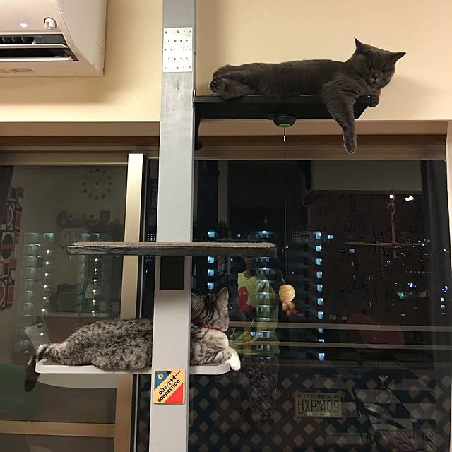 Shojiさんの実例写真