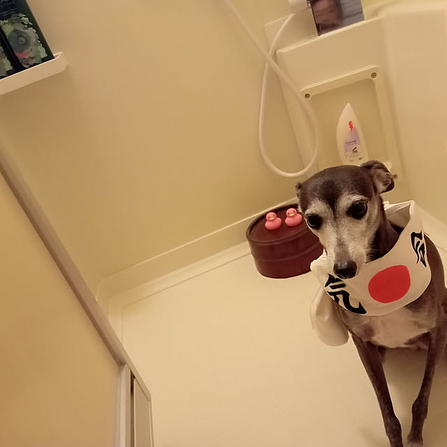 moruさんの実例写真