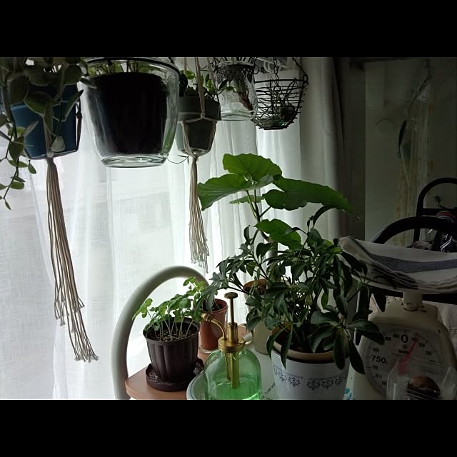 I_naomiさんの実例写真