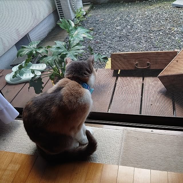 fukuさんの部屋