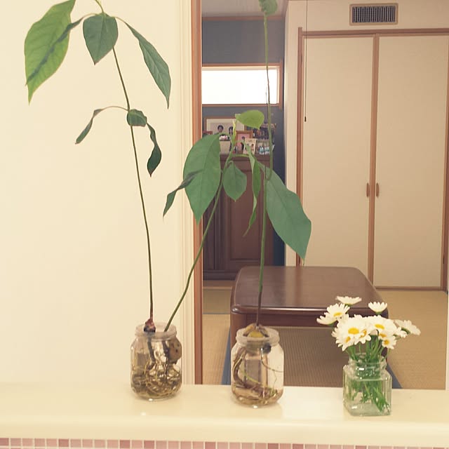 cheeさんの実例写真