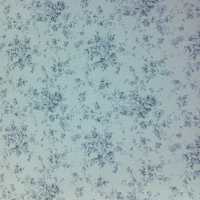 壁/天井のインテリア実例 - 2012-09-08 16:56:10