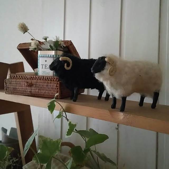 nonさんの実例写真
