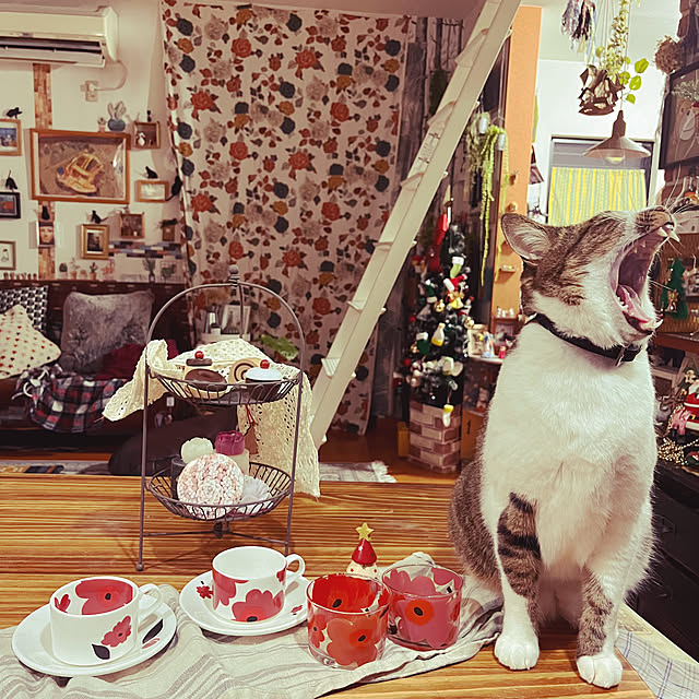 jijiさんの部屋