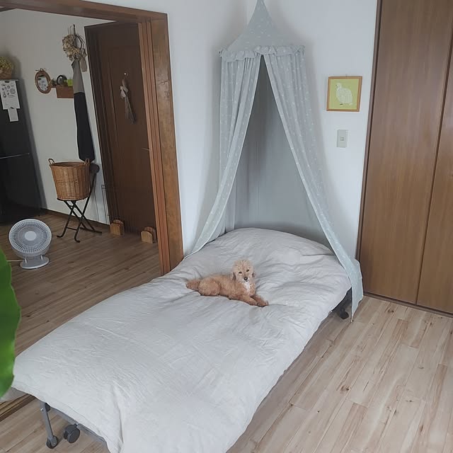 santamamaさんの部屋