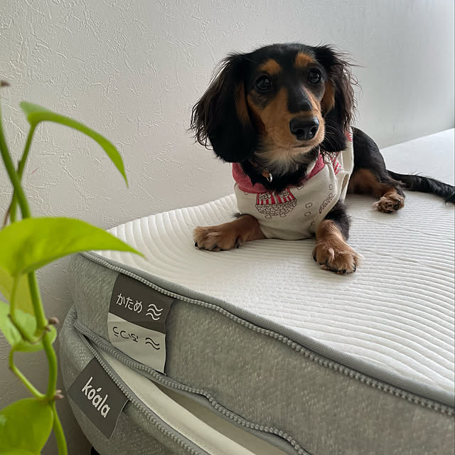 Erinさんの実例写真