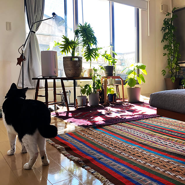 y.さんの部屋