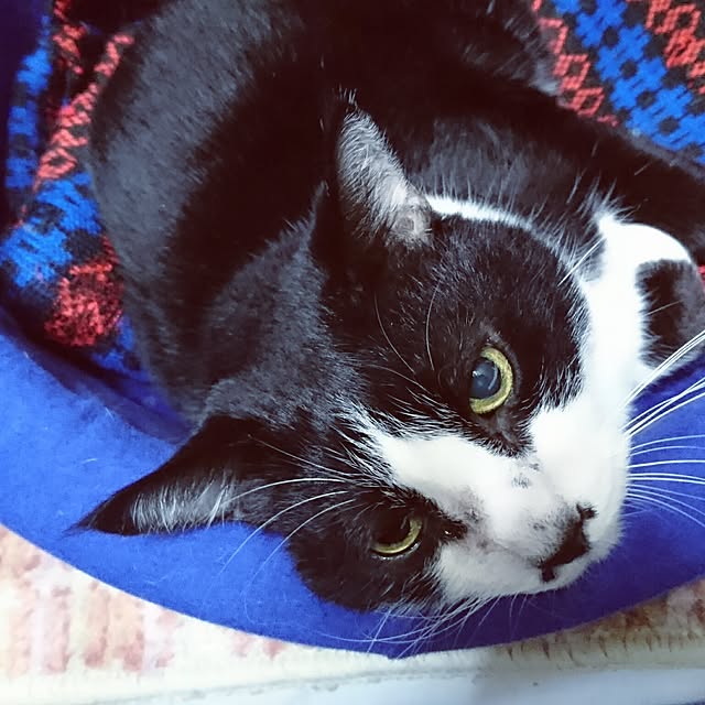 tetoさんの実例写真