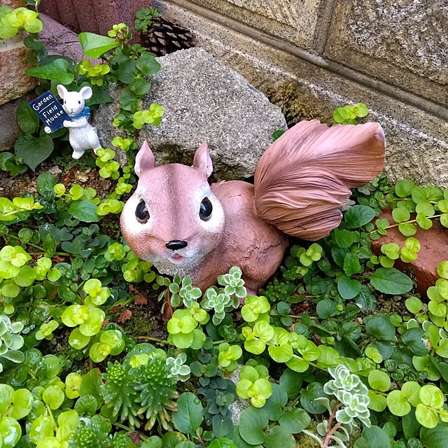 25Moondropsさんの実例写真