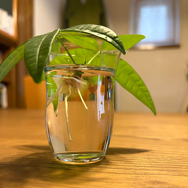 505さんの実例写真