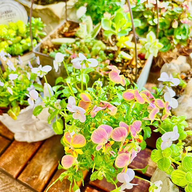 naokoさんの部屋