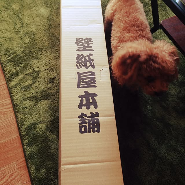 chocolatさんの実例写真