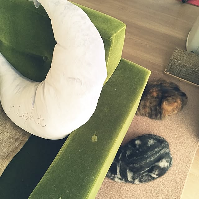 mikomaruさんの実例写真