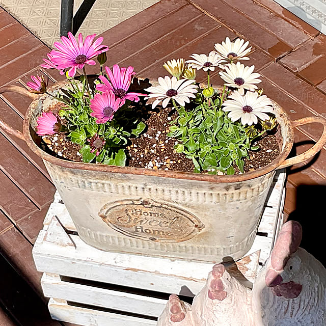 2.11maririnさんの実例写真