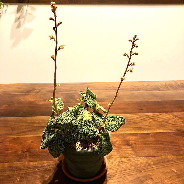 kousakuさんの実例写真