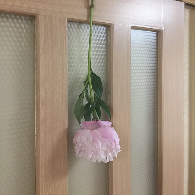 kojiro120513さんの実例写真