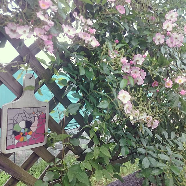 monblanさんの実例写真