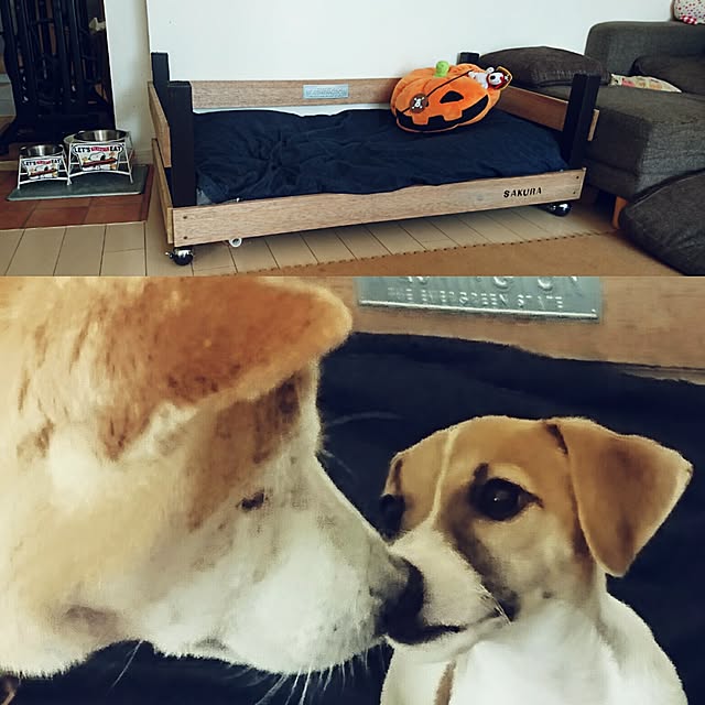 実例写真