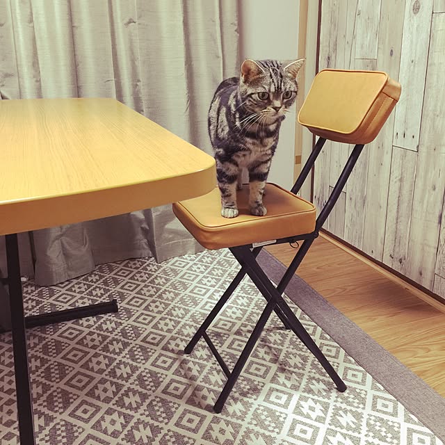 Fujiko.hagiさんの実例写真