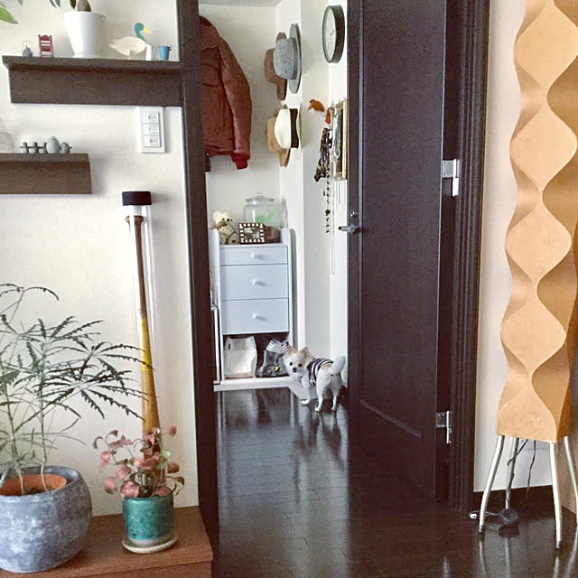 chapiさんの実例写真
