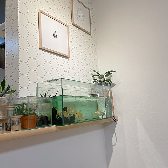 tak_to_akiさんの実例写真