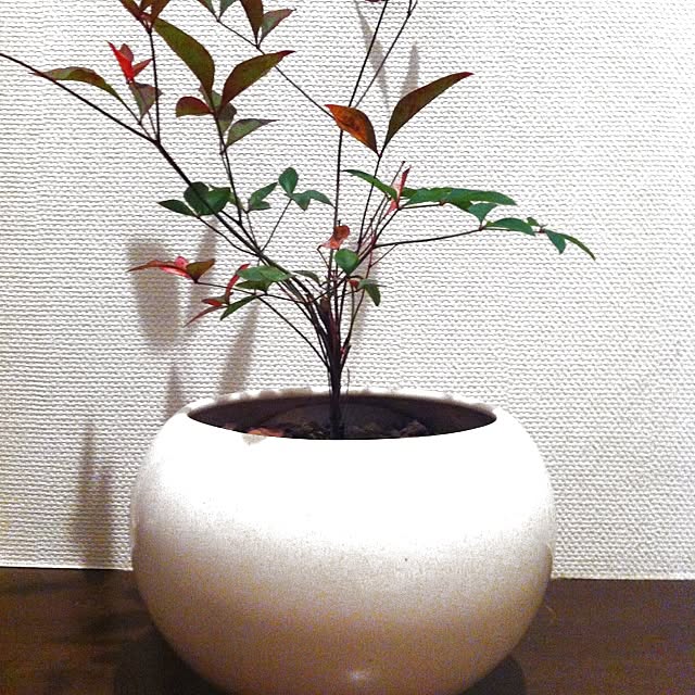 good.sunさんの実例写真