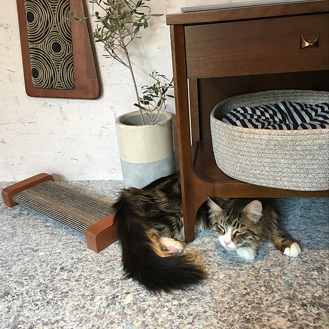 decorameowさんの実例写真