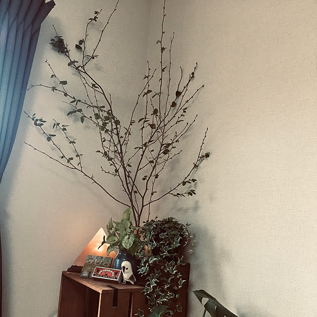 s.p.sunaoさんの実例写真