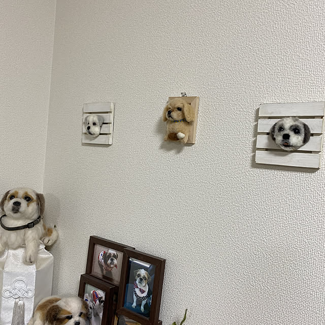 emiさんの実例写真