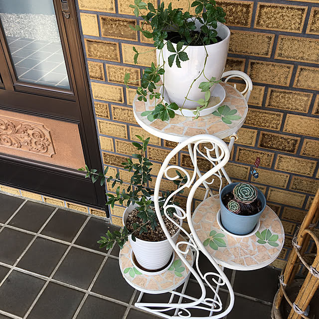 akekuroankoさんの実例写真