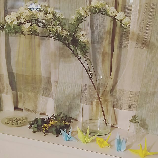 onigiripuripuriさんの実例写真