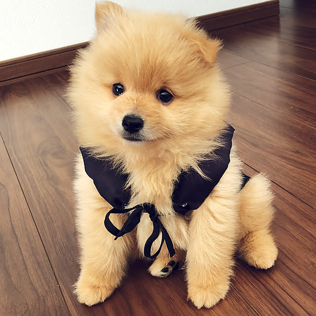 eriさんの実例写真