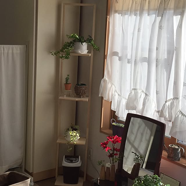 棚/観葉植物/多肉植物/DIY/ハンドメイド...などのインテリア実例 - 2017-02-02 18:33:10