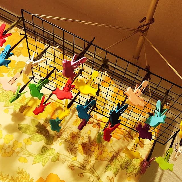 harunatsuakibaさんの実例写真