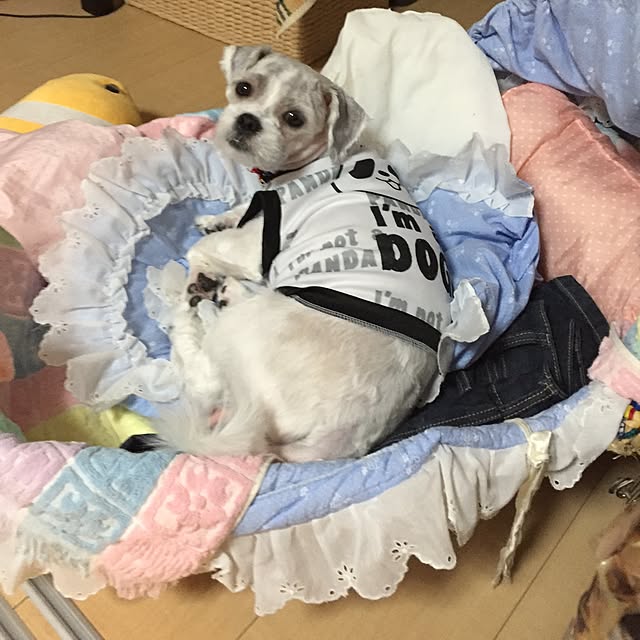 emiさんの実例写真