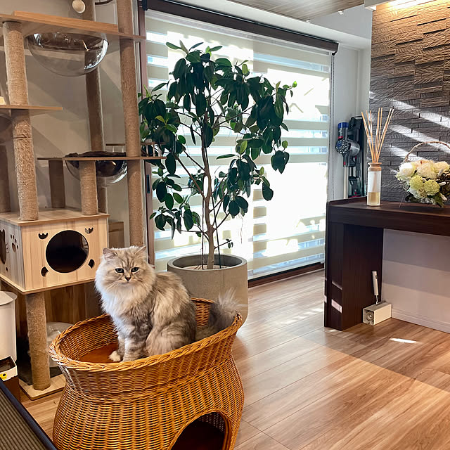 akimamさんの部屋