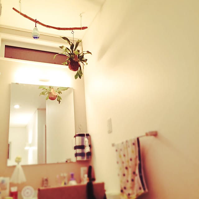 minomonさんの実例写真