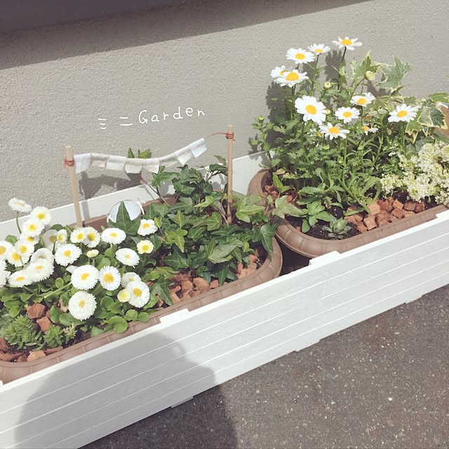siroさんの実例写真
